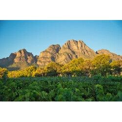 Boschendal Grande Syrah 750 ml - Image 3